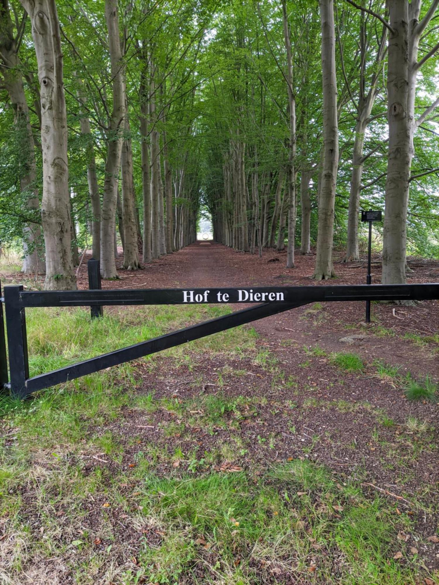 Villa Benvenuto Dieren Luaran gambar